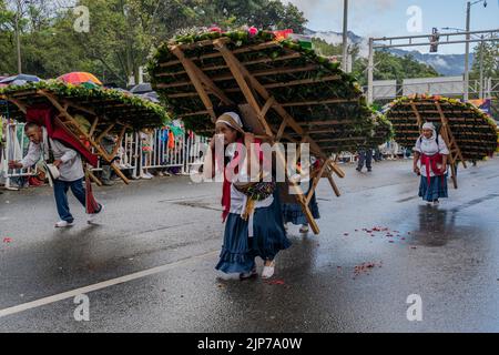 Santa Elena Antioquia, Colombia. 15th Aug, 2022. Various silleteros dressed in typical costumes participate in a parade as part of the Medellin Flower Festival, carrying 'silletas' on their backs decorated with different types of flowers. Credit: Edinson Arroyo/dpa/Alamy Live News Stock Photo