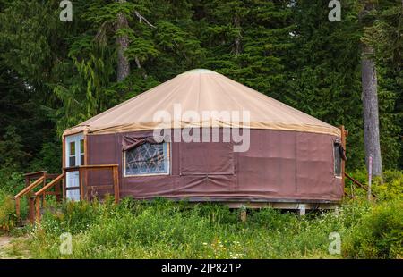 Urta nomadic house in the mountains. Yurt traditional nomadic house on the green grass in a forest. Nobody, travel photo. Stock Photo