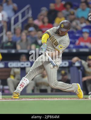 Miami, FL. USA;  San Diego Padres right fielder Juan Soto (22) fouls off a pitch during a MLB game against the Miami Marlins, Monday, August 15, 2022, Stock Photo