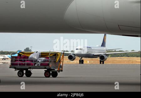 12 August 2022, Brandenburg, Schönefeld: Under the fuselage of a Qatar Airways Boeing 787 Dreamliner, a baggage cart is parked while a Lufthansa Airbus A320-200 taxis by in the background. Photo: Wolfgang Kumm/dpa Stock Photo