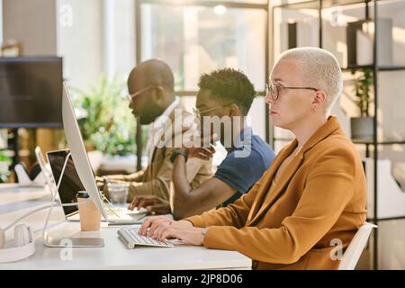 Group of programmers sitting in a row at table and working on computers at office Stock Photo