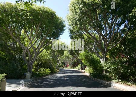 Beverly Hills, California, USA 15th August 2022 Summit Drive on August 15, 2022 in Beverly Hills, California, USA. Photo by Barry King/Alamy Stock Photo Stock Photo