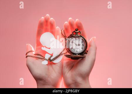 Paper embryo silhouette with chain and clock in woman hands. Light pink background. Soft focus. Stock Photo
