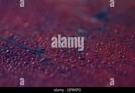 Abstraction, abstract background. Drops of water on a red wooden surface Stock Photo