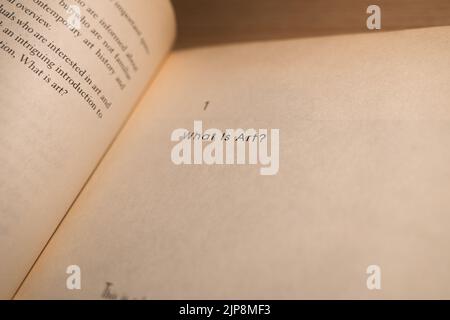 'What is Art?' quote on old book paper, art themed text. Stock Photo