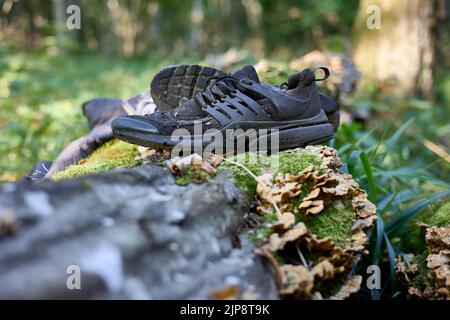 Worn out clothing abandoned by Said, refugee from Congo (DRC) who was wandering in the woods for 4 days avoiding Polish border patrols. Stock Photo