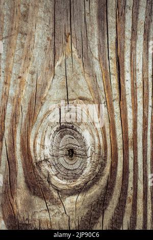 Detailed wood texture with knot and grain close-up Stock Photo
