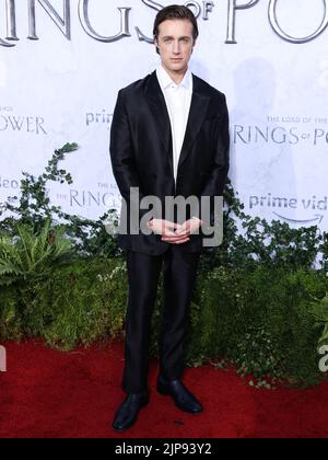 CULVER CITY, LOS ANGELES, CALIFORNIA, USA - AUGUST 15: Leon Wadham arrives at the Los Angeles Premiere Of Amazon Prime Video's 'The Lord Of The Rings: The Rings Of Power' Season 1 held at The Culver Studios on August 15, 2022 in Culver City, Los Angeles, California, United States. (Photo by Xavier Collin/Image Press Agency) Stock Photo