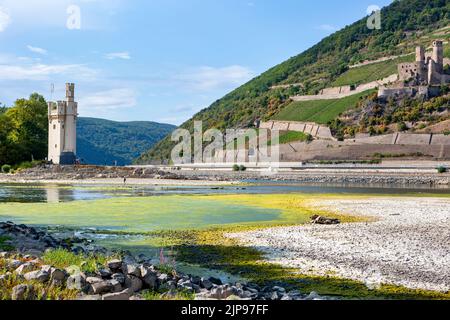 The famous Maeuseturm nearby the confluence of Nahe and Rhine River at Bingen, Germany - Visible rocks and sandbars due to extraordinary low water level after a long period of drought in August 2022. Stock Photo