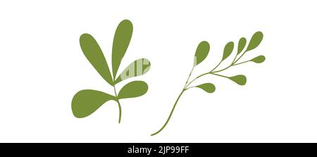 Floral set hand drawn green color leaves. Cute isolated elements. Clip art for stationery, web design. Modern floral compositions. Vector illustration Stock Vector