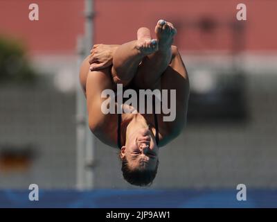 ROME, ITALY - AUGUST 16: Daphne Wils of The Netherlands during the