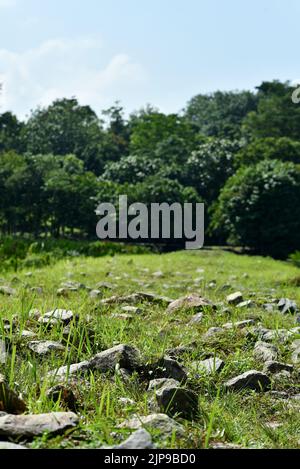 rough terrain trail for walking and trekking. rocky path on grass Stock Photo