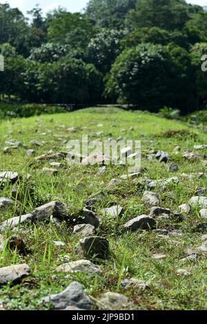 rough terrain trail for walking and trekking. rocky path on grass Stock Photo