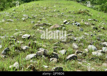 rough terrain trail for walking and trekking. rocky path on grass Stock Photo