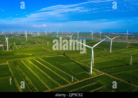 BINZHOU, CHINA - AUGUST 15, 2022 - Photo taken on Aug 15, 2022 shows a wind farm in Binzhou city, East China's Shandong province. Stock Photo