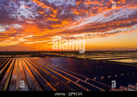 BINZHOU, CHINA - AUGUST 15, 2022 - Photovoltaic power stations are seen under sunset glow on a coastal beach in Binzhou, East China's Shandong provinc Stock Photo