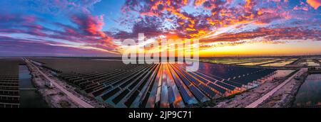 BINZHOU, CHINA - AUGUST 15, 2022 - Photovoltaic power stations are seen under sunset glow on a coastal beach in Binzhou, East China's Shandong provinc Stock Photo