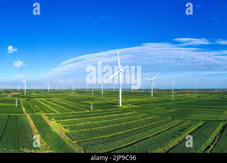 BINZHOU, CHINA - AUGUST 15, 2022 - Photo taken on Aug 15, 2022 shows a wind farm in Binzhou city, East China's Shandong province. Stock Photo