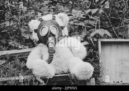 A teddy bear in a gas mask lies on the ground in the grass, gas attack, war in Ukraine, chemical attack during the war in Ukraine Stock Photo
