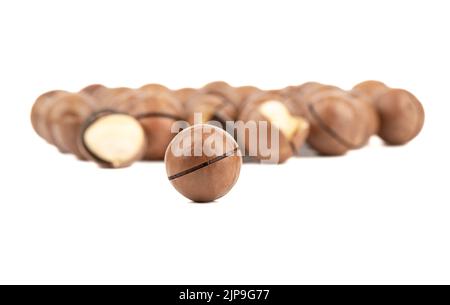 Selective focus on macadamia nut on white background. Nuts in the background are blurred. Copy space. Stock Photo