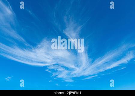 Clouds float in the sky in a streaky shape. on a clear day Stock Photo