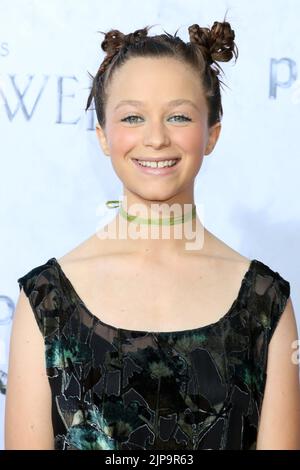 August 15, 2022, Culver City, CA, USA: LOS ANGELES - AUG 15:  Sofia Rosinsky at the The Lord Of The Rings: The Rings Of Power Premiere Screening at Culver Studios on August 15, 2022 in Culver City, CA (Credit Image: © Kay Blake/ZUMA Press Wire) Stock Photo