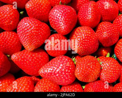 Close Up - Strawberries Stock Photo