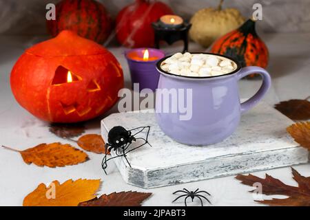 Halloween pumpkin and mug of coffee with cookies on the background of a gray wall with ghosts, bats, spiders, candles, pumpkins, leaves. Selective Stock Photo