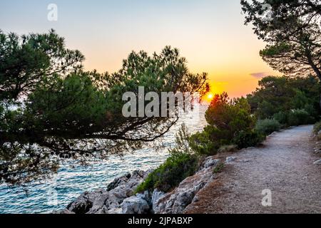 Sunset over the small path with grass, bushes and trees, near the Makarska city, Croatia. Stock Photo