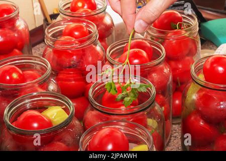 The process of preserving tomatoes for the winter. Ripe red juicy tomatoes in glass jars. Stock Photo