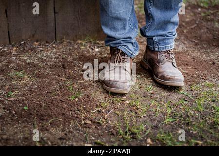 Man's feet and lower legs in blue denim jeans and brown work man's boots standing on patchy garden lawn.  Stock Photo