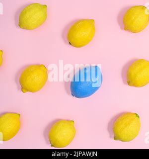 Creative pattern with yellow lemons and one blue on pastel pink background. Flat lay Stock Photo