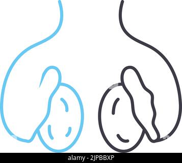 testicles line icon, outline symbol, vector illustration, concept sign Stock Vector