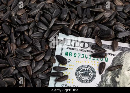 Black sunflower seeds with cash money. Sunflower oil, oilseed farming and agriculture concept. Stock Photo