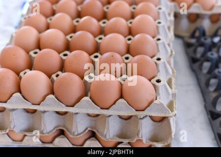Chicken eggs, brown chicken eggs in a cardboard box. Eggs per pack. Egg panels arranged on a chicken farm. The concept of egg prices in the market tha Stock Photo