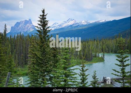 Scenic view of river flowing through coniferous forest Stock Photo