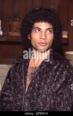 Robert Hegyes Circa 1980's Credit: Ralph Dominguez/MediaPunch Stock ...