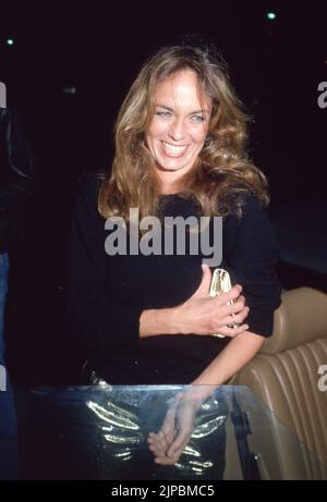 Catherine Bach Circa 1980's Credit: Ralph Dominguez/MediaPunch Stock