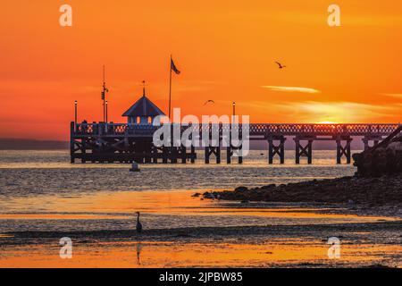 Sunrising over the silhouette of a pier on the isle of wight with birds flying and a heron on the beach Stock Photo