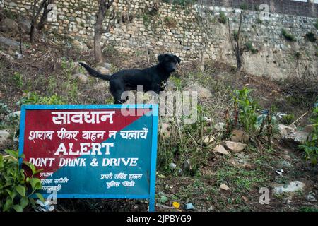 English Translation of the text : 'Do not drink and drive' traffic police dehradun. roadside board with warning written on in HIndi in India . Stock Photo