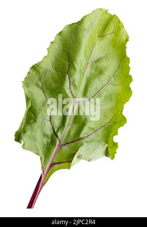 Beetroot lief isolated on white background. Clipping path Stock Photo