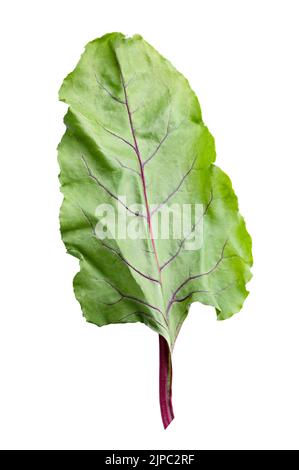 Beetroot lief isolated on white background. Clipping path Stock Photo