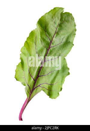 Beetroot lief isolated on white background. Clipping path Stock Photo