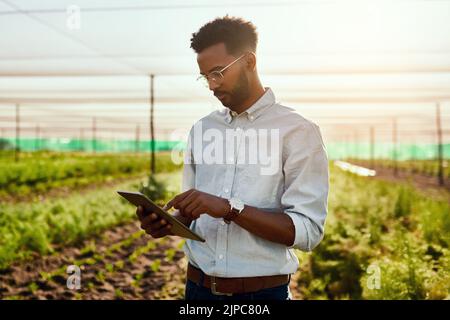 Male farmer planning online strategy on a tablet looking at farm growth outdoors. Digital agriculture analyst analyzing farming data. Worker research Stock Photo