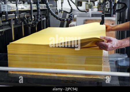Unrecognizable employee putting sheets of yellow paper into offset printing machine during work in typography workshop Stock Photo