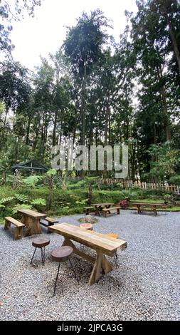 A beautiful shot of a wooden table and chairs in the middle of a forest in front of guesthouse Stock Photo