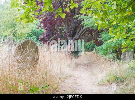 Southampton Old Cemetery on Southampton Common, Southampton, UK Stock Photo