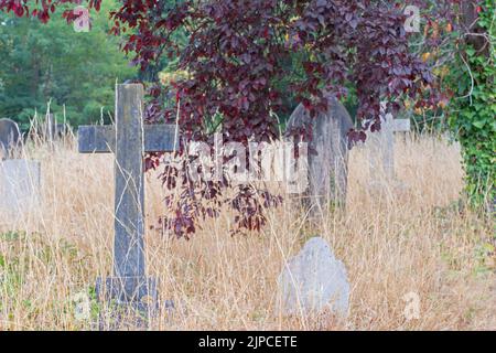 Southampton Old Cemetery on Southampton Common, Southampton, UK Stock Photo