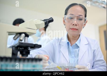 Professional Asian aged female scientist or researcher concentrating working on her medical experiment project in the lab. Stock Photo