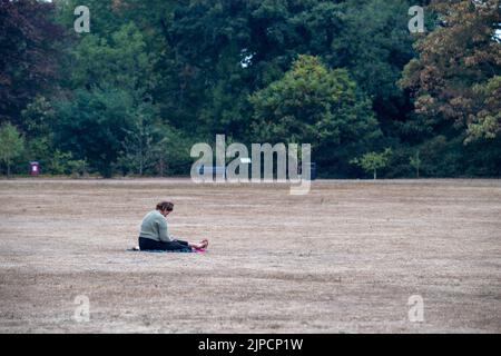 Burnham, Buckinghamshire, UK. 16th August, 2022. A lady sits on parched grass in Burnham Park on a cooler but muggy day. Credit: Maureen McLean/Alamy Live News Stock Photo